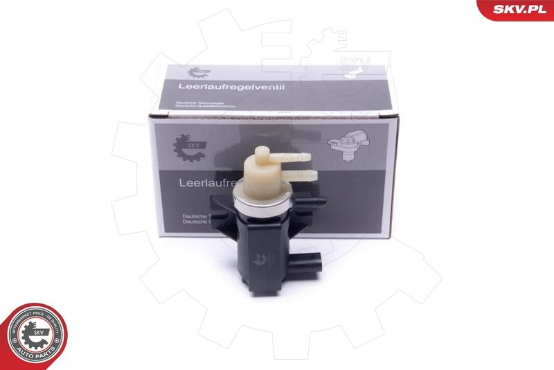 ESEN SKV 14SKV920 Pressure converter, turbocharger