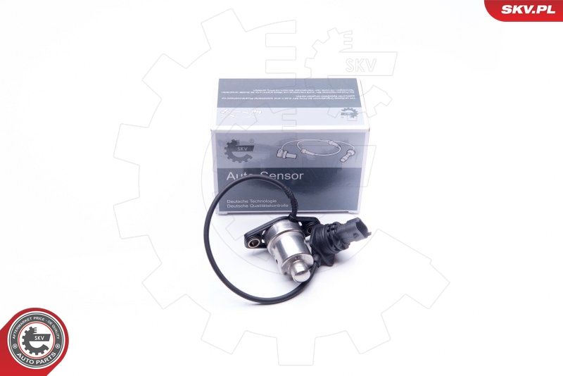 ESEN SKV 17SKV405 Sensor, engine oil level