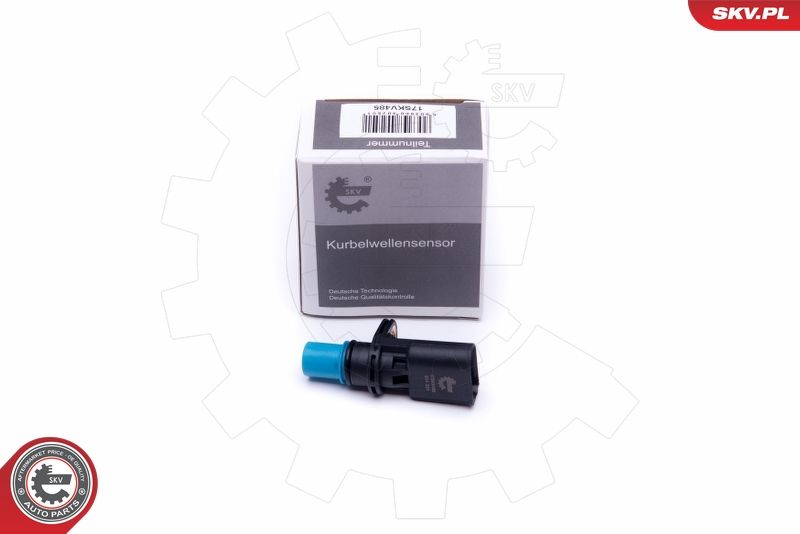 ESEN SKV 17SKV485 Steering Angle Sensor