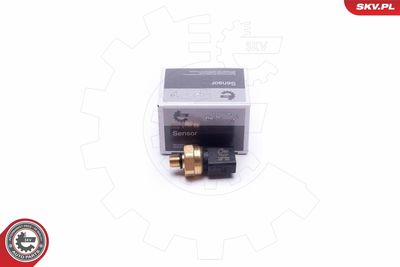 Sensor, fuel pressure ESEN SKV 17SKV624