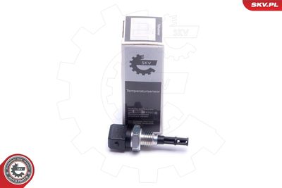 Sensor, intake air temperature ESEN SKV 17SKV690