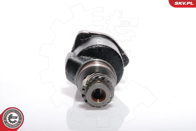 ESEN SKV 18SKV001 Vacuum Pump, braking system