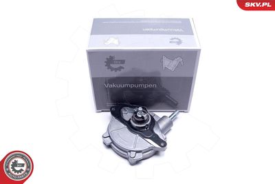 Vacuum Pump, braking system ESEN SKV 18SKV053
