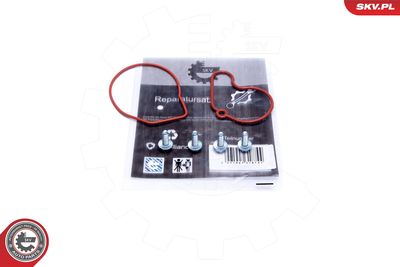 Repair Set, vacuum pump (braking system) ESEN SKV 18SKV807