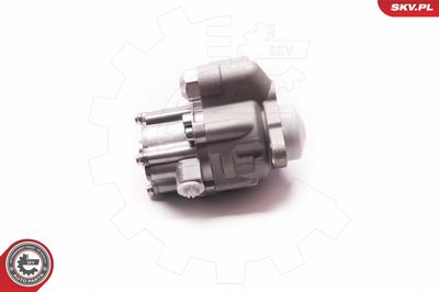 Hydraulic Pump, steering ESEN SKV 1SKV0004