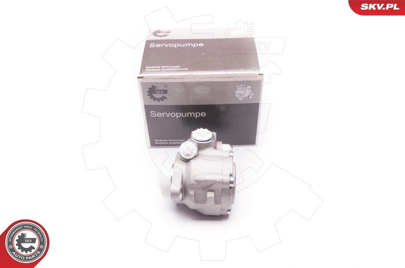 ESEN SKV 1SKV0006 Hydraulic Pump, steering