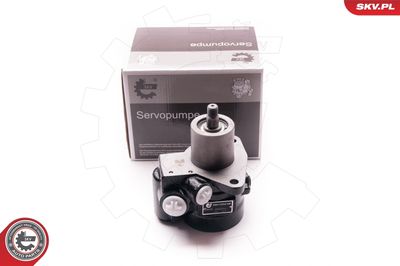 Hydraulic Pump, steering ESEN SKV 1SKV0011