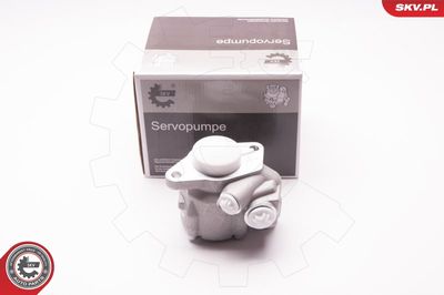 Hydraulic Pump, steering ESEN SKV 1SKV0012