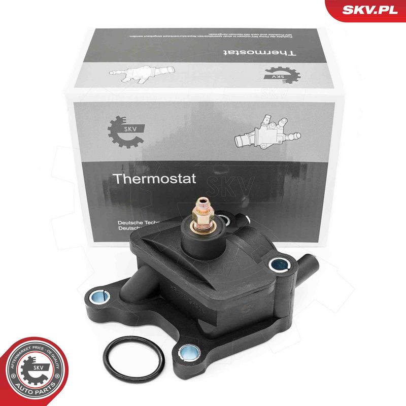 ESEN SKV 20SKV226 Coolant Flange