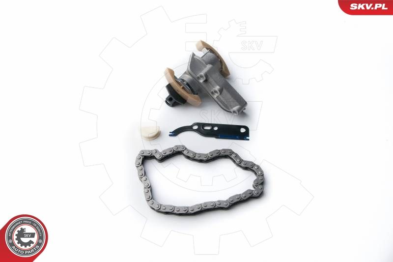 ESEN SKV 21SKV010 Timing Chain Kit