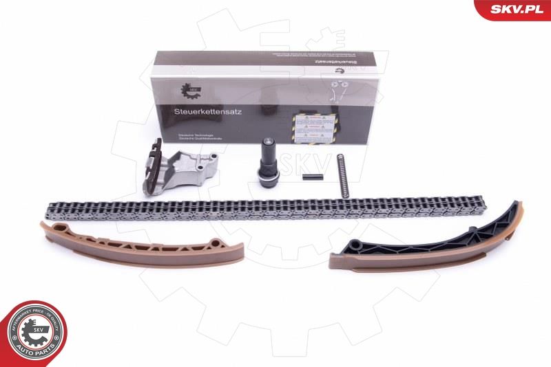 ESEN SKV 21SKV129 Timing Chain Kit