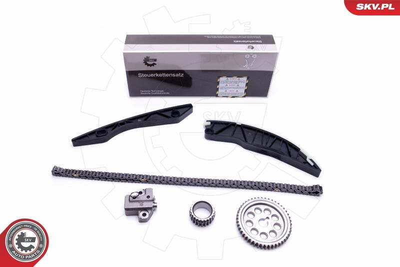 ESEN SKV 21SKV150 Timing Chain Kit