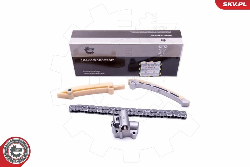 ESEN SKV 21SKV165 Timing Chain Kit