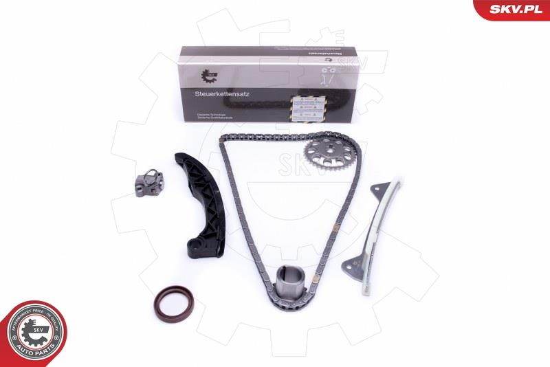 ESEN SKV 21SKV228 Timing Chain Kit