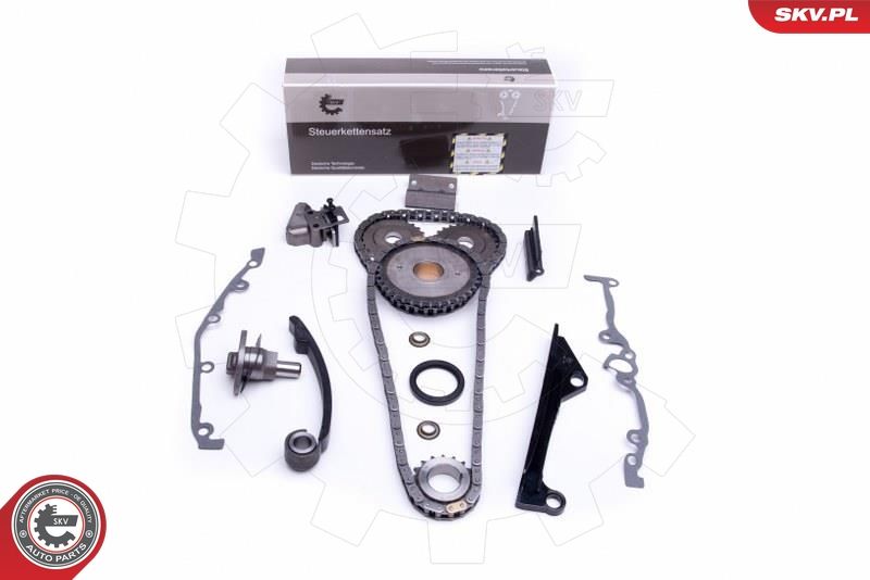 ESEN SKV 21SKV241 Timing Chain Kit