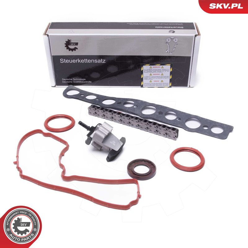 ESEN SKV 21SKV254 Timing Chain Kit