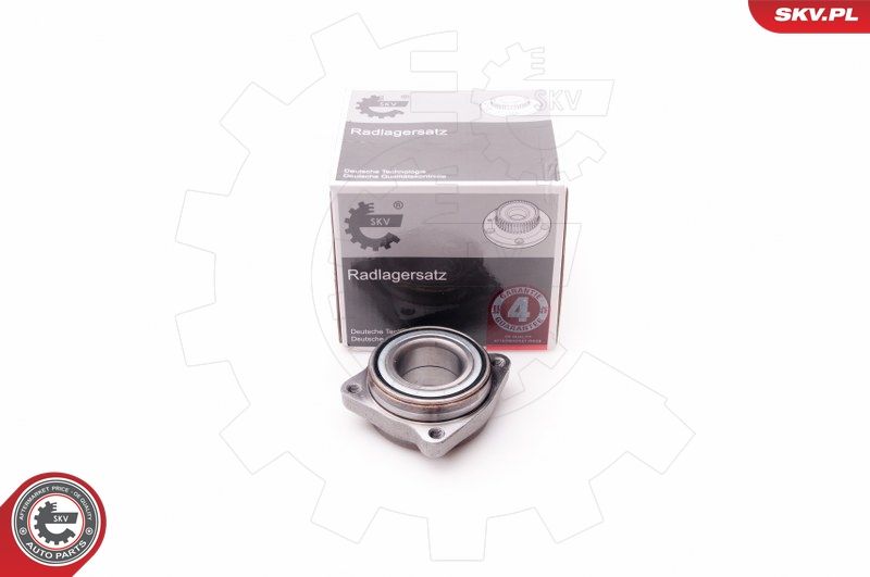 ESEN SKV 29SKV067 Wheel Bearing Kit