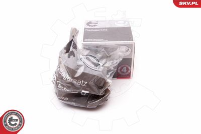 Wheel Bearing Kit ESEN SKV 29SKV121