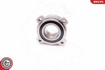 Wheel Bearing Kit ESEN SKV 29SKV157