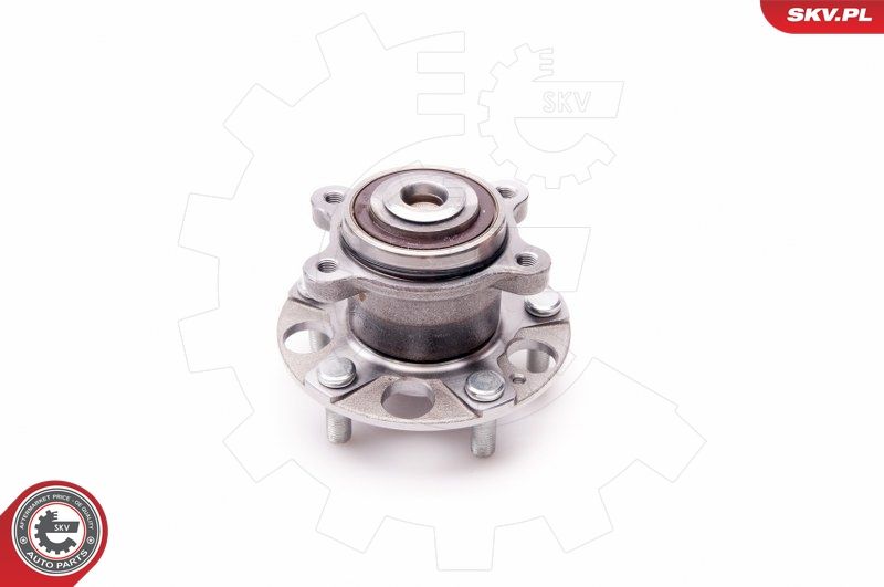 ESEN SKV 29SKV171 Wheel Bearing Kit