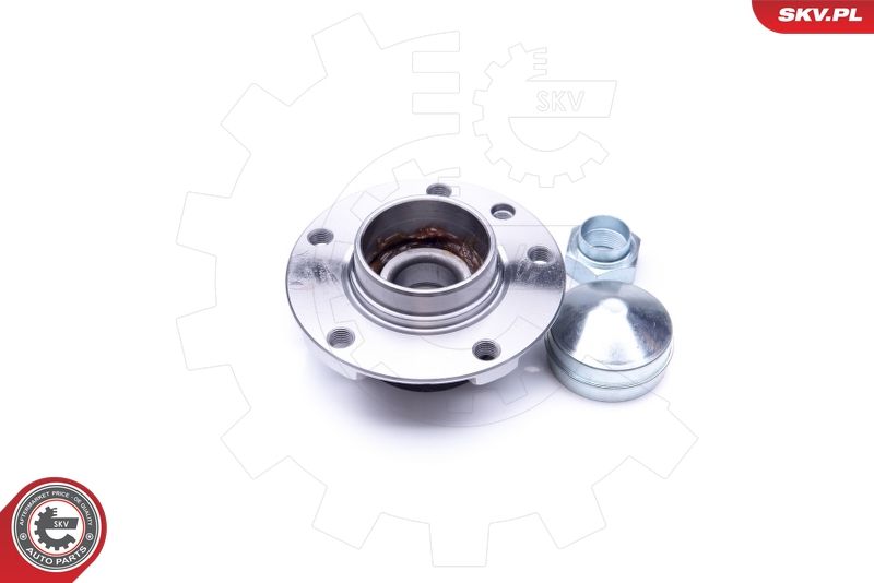 ESEN SKV 29SKV221 Wheel Bearing Kit