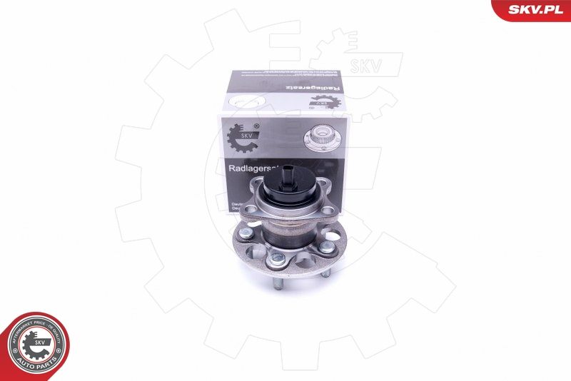 ESEN SKV 29SKV289 Wheel Bearing Kit