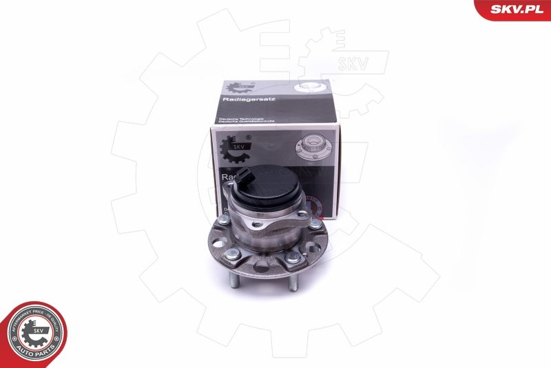ESEN SKV 29SKV293 Wheel Bearing Kit