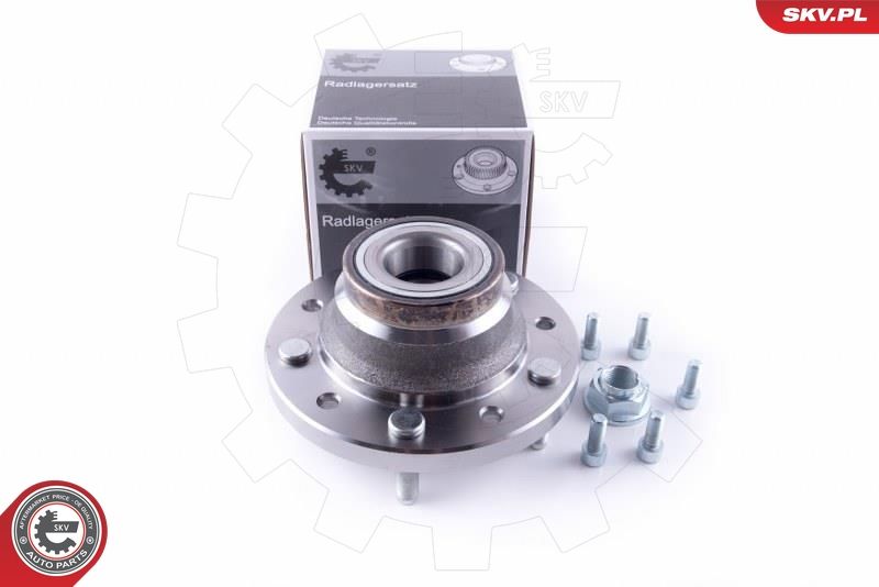 ESEN SKV 29SKV304 Wheel Bearing Kit