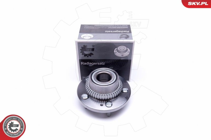 ESEN SKV 29SKV370 Wheel Bearing Kit