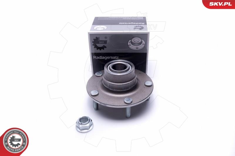 ESEN SKV 29SKV461 Wheel Bearing Kit