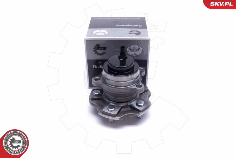ESEN SKV 29SKV498 Wheel Bearing Kit
