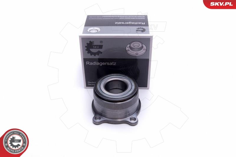 ESEN SKV 29SKV519 Wheel Bearing Kit