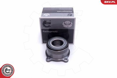 Wheel Bearing Kit ESEN SKV 29SKV519