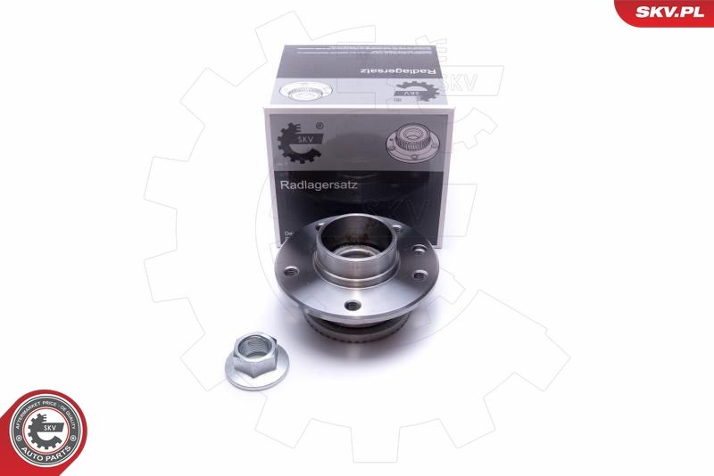 ESEN SKV 29SKV521 Wheel Bearing Kit