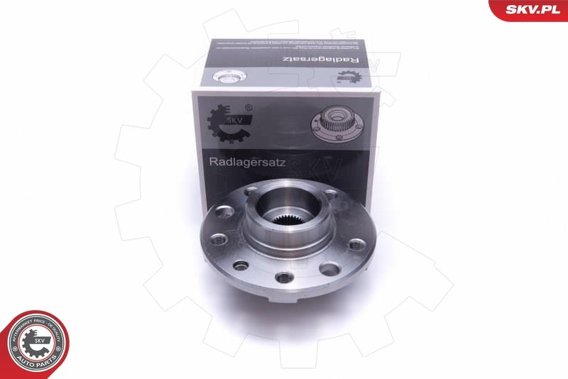 ESEN SKV 29SKV522 Wheel Bearing Kit