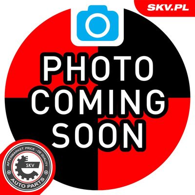 Wheel Bearing Kit ESEN SKV 29SKV675