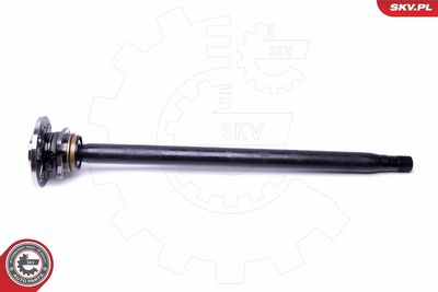 Wheel Bearing Kit ESEN SKV 29SKV999
