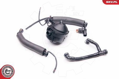 Repair Kit, crankcase ventilation ESEN SKV 31SKV044