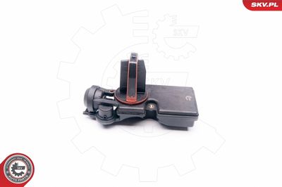 Valve, air control (intake air) ESEN SKV 31SKV046