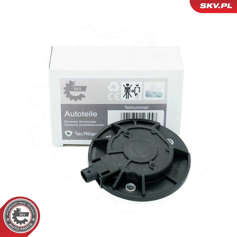 ESEN SKV 39SKV900 Central Magnet, camshaft adjustment