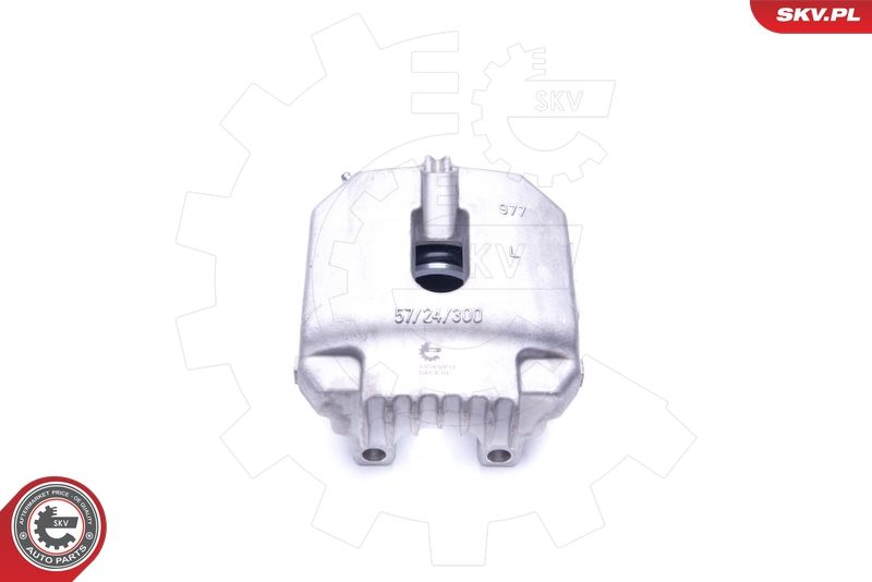 ESEN SKV 44SKV831 Brake Caliper