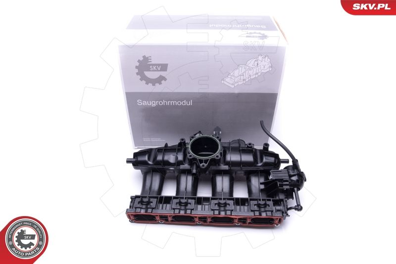ESEN SKV 49SKV003 Intake Manifold Module