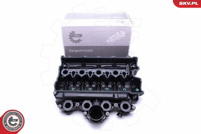 Intake Manifold Module ESEN SKV 49SKV021