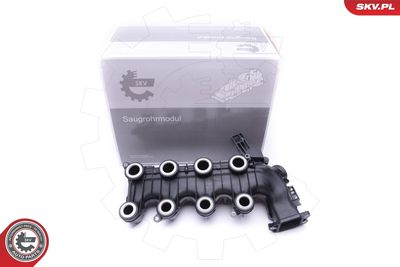 Intake Manifold Module ESEN SKV 49SKV022