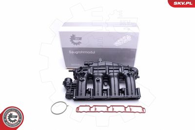 Intake Manifold Module ESEN SKV 49SKV028