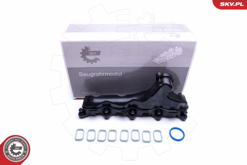 ESEN SKV 49SKV032 Intake Manifold Module