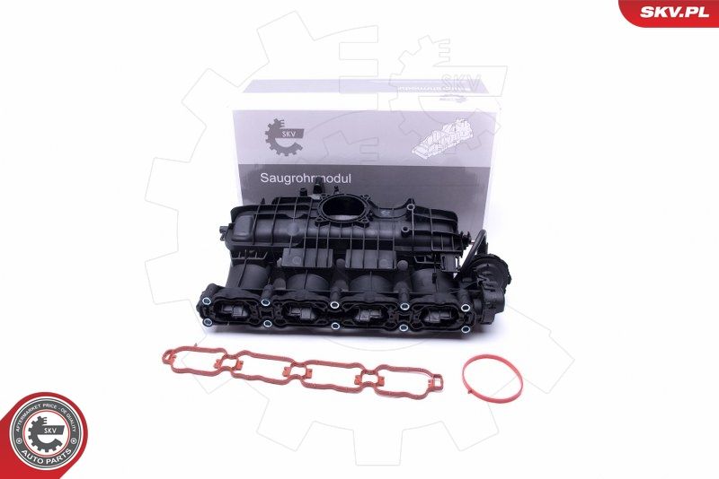 ESEN SKV 49SKV035 Intake Manifold Module