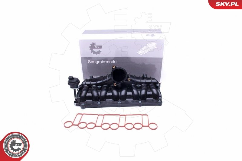 ESEN SKV 49SKV036 Intake Manifold Module