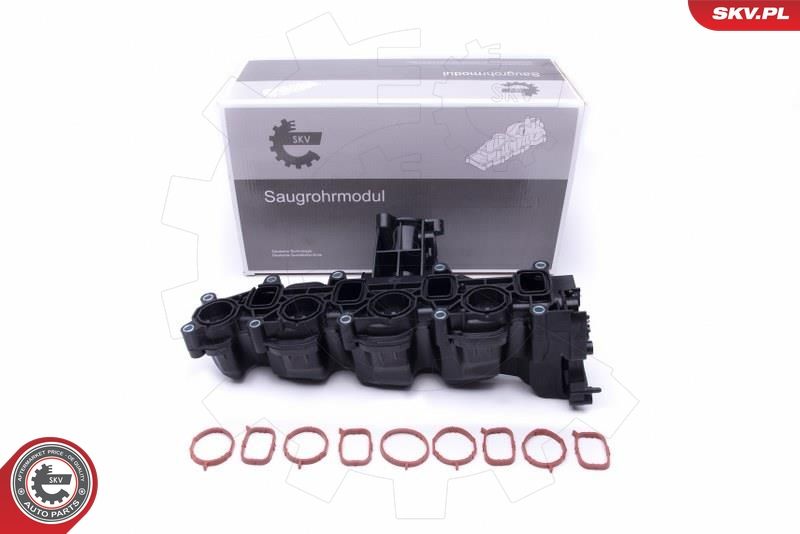 ESEN SKV 49SKV040 Intake Manifold Module