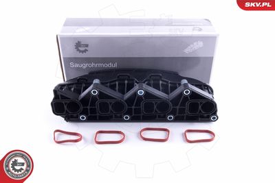 Intake Manifold Module ESEN SKV 49SKV057